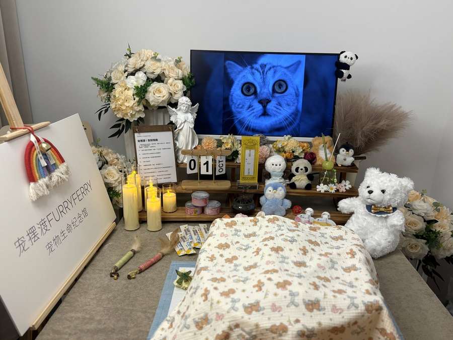 合肥宠物单独火化